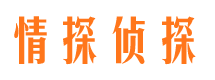 仁和市调查公司